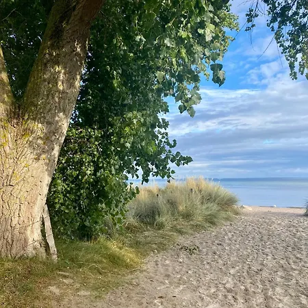 Suedstrand Haus 35 *